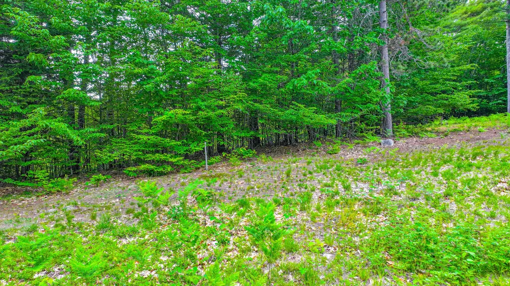 Lot 31c David Road Waterford ME 04088