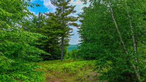 Lot 31c David Road Waterford ME 04088