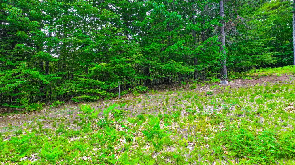 Lot 31b Mcdaniel's Drive Waterford ME 04088
