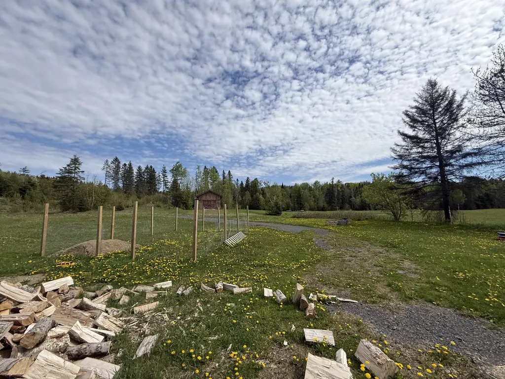1356 Aroostook Road Wallagrass ME 04781