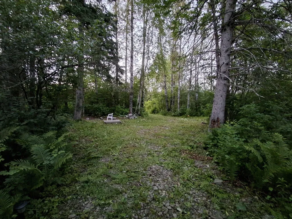 1356 Aroostook Road Wallagrass ME 04781