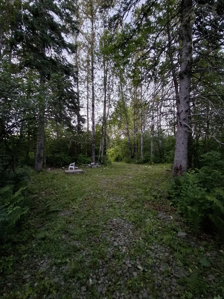 1356 Aroostook Road Wallagrass ME 04781
