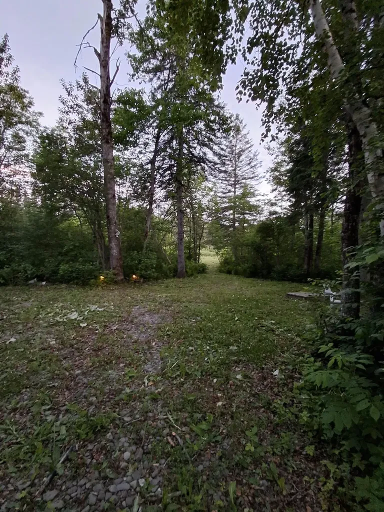 1356 Aroostook Road Wallagrass ME 04781