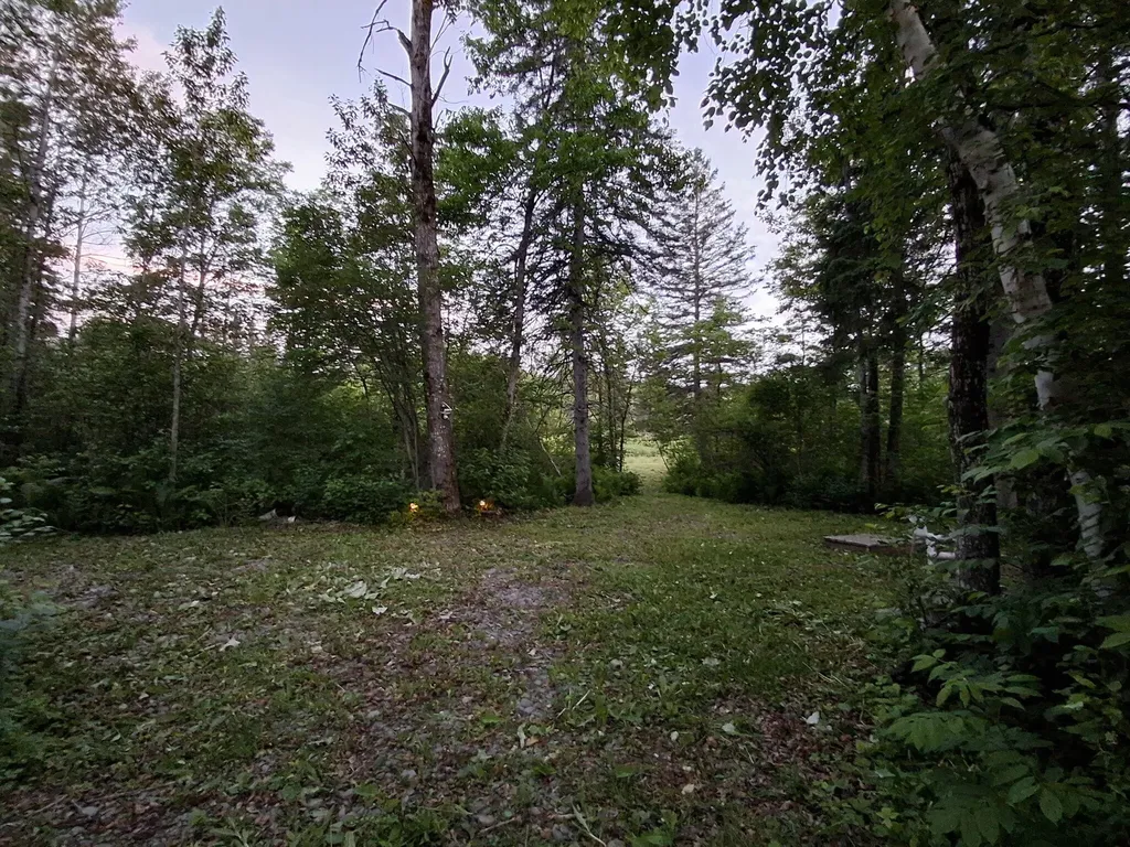 1356 Aroostook Road Wallagrass ME 04781