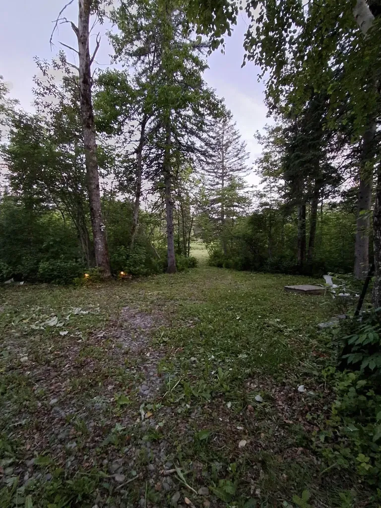 1356 Aroostook Road Wallagrass ME 04781