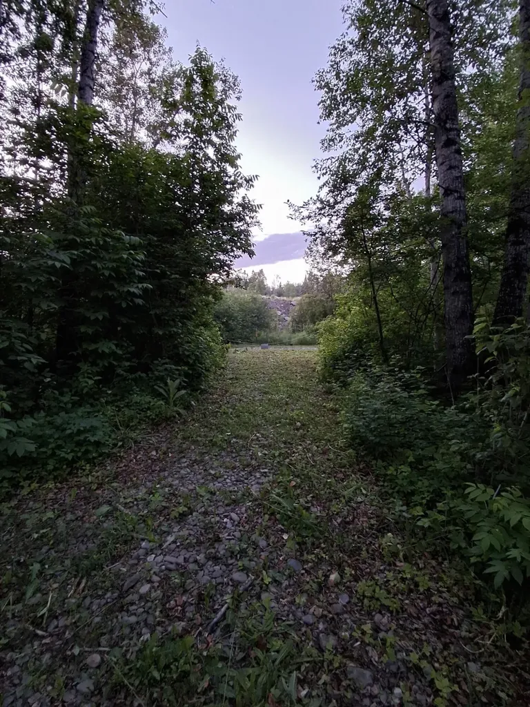 1356 Aroostook Road Wallagrass ME 04781