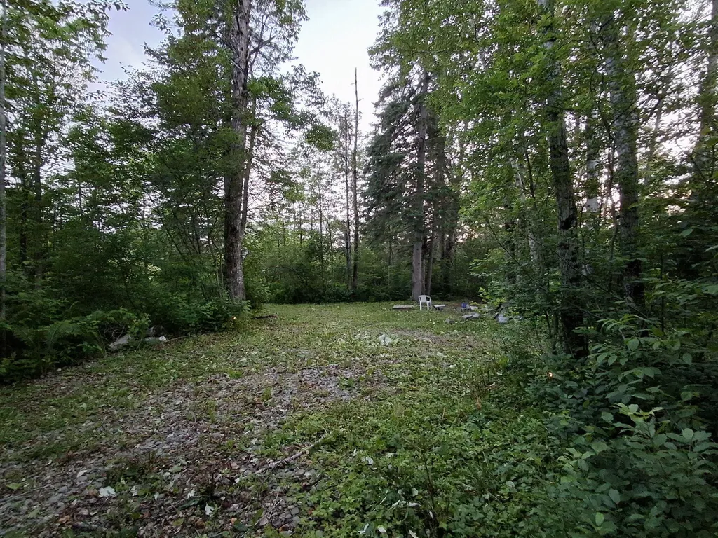 1356 Aroostook Road Wallagrass ME 04781