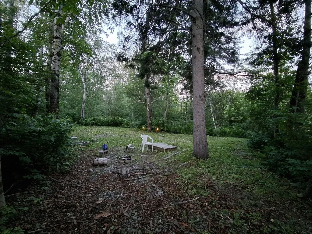 1356 Aroostook Road Wallagrass ME 04781