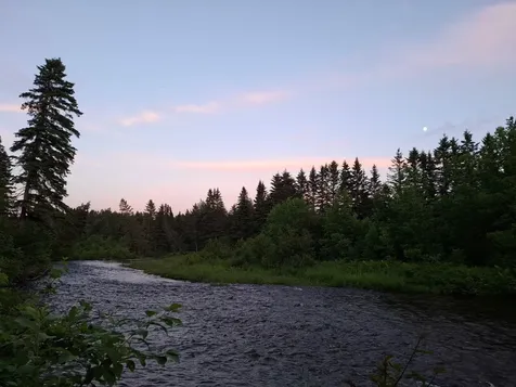 1356 Aroostook Road Wallagrass ME 04781