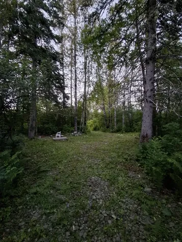 1356 Aroostook Road Wallagrass ME 04781