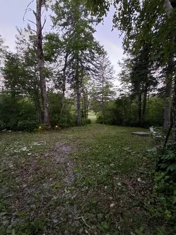 1356 Aroostook Road Wallagrass ME 04781