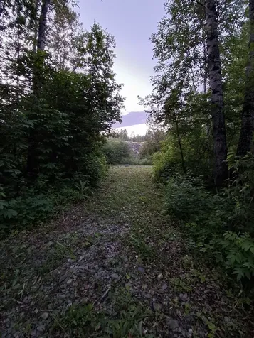 1356 Aroostook Road Wallagrass ME 04781