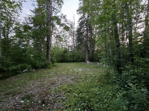 1356 Aroostook Road Wallagrass ME 04781
