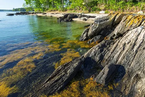 90 Cornfield Point Road Yarmouth ME 04096