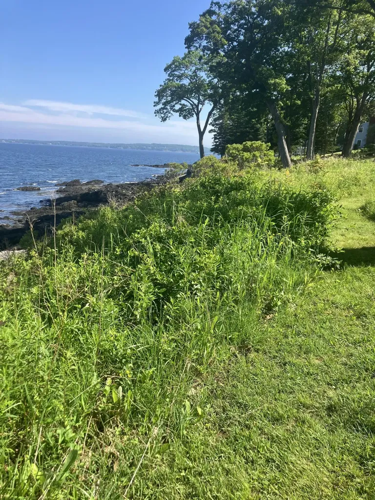 64 Eastward Rockport ME 04856