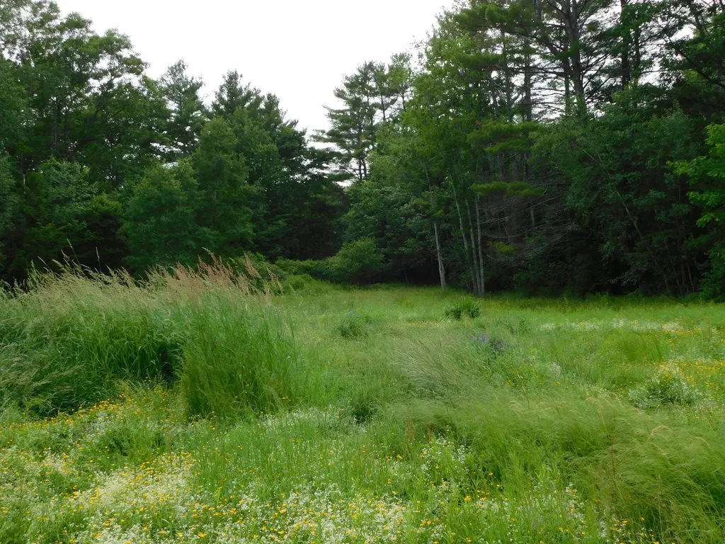 389 S Horseback Road Burnham ME 04922