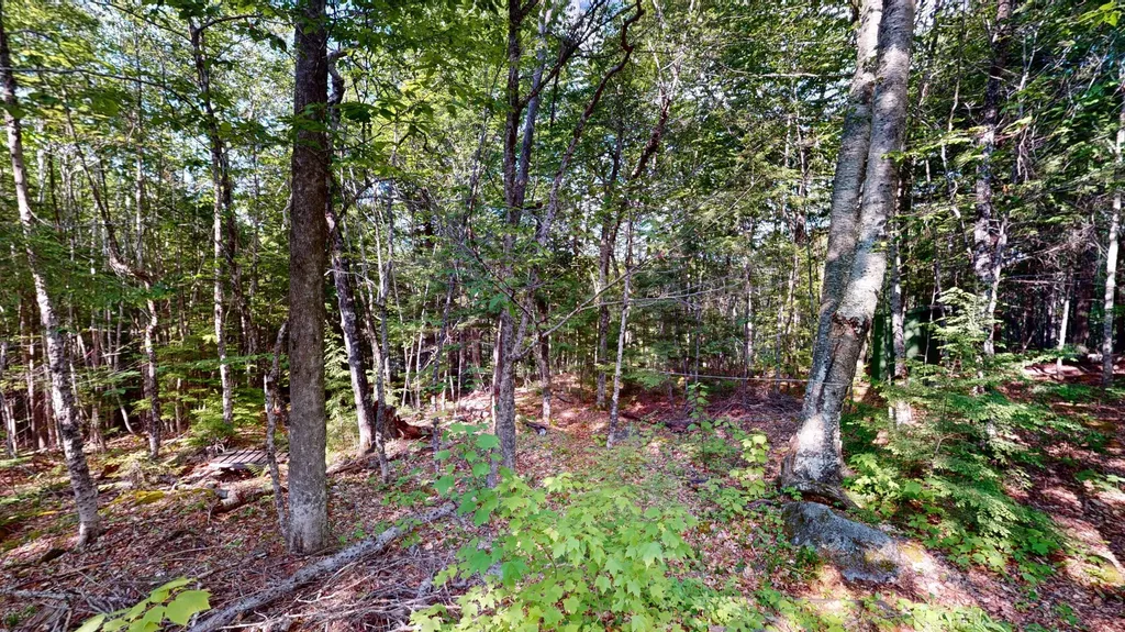 22 Deland Road Lowell ME 04493