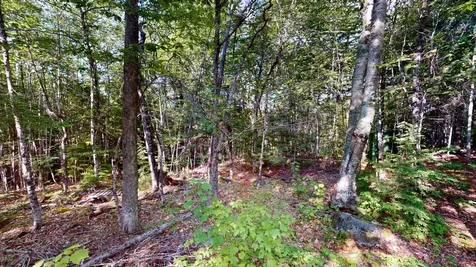 22 Deland Road Lowell ME 04493