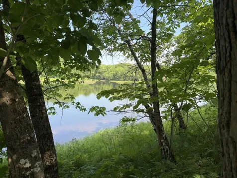 M4/LOT 2a Main Road Greenbush ME 04418