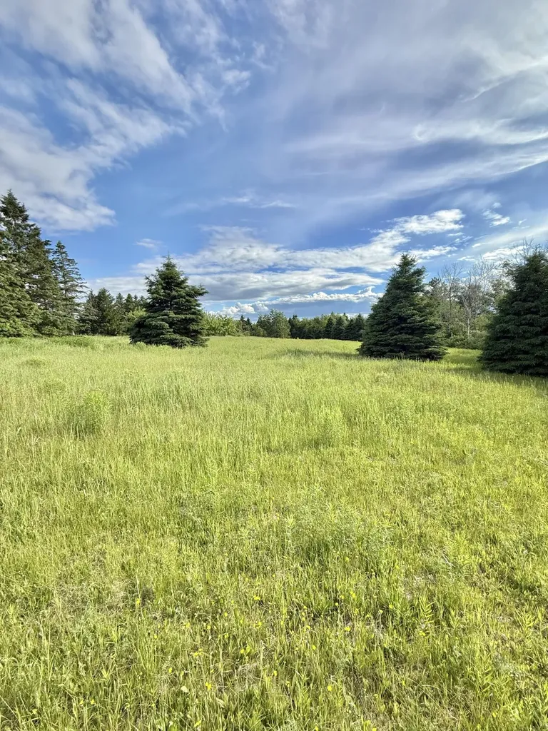 17 Doucette Road Grand Isle ME 04746