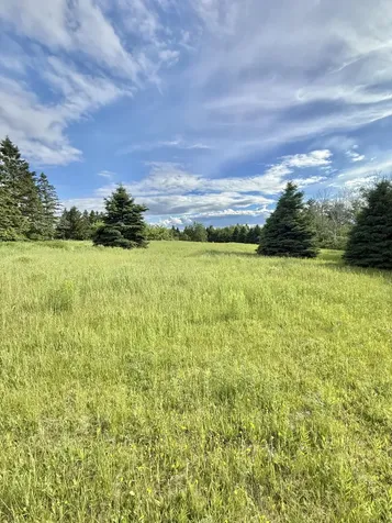 17 Doucette Road Grand Isle ME 04746