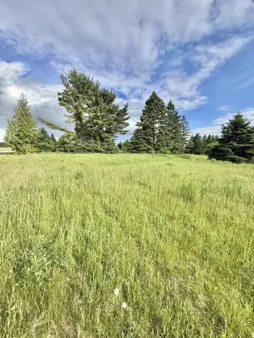17 Doucette Road Grand Isle ME 04746