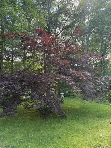 86 Underwood Road Falmouth ME 04105