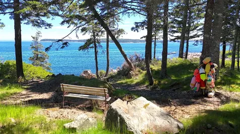 162 Red Point Road Swans Island ME 04685