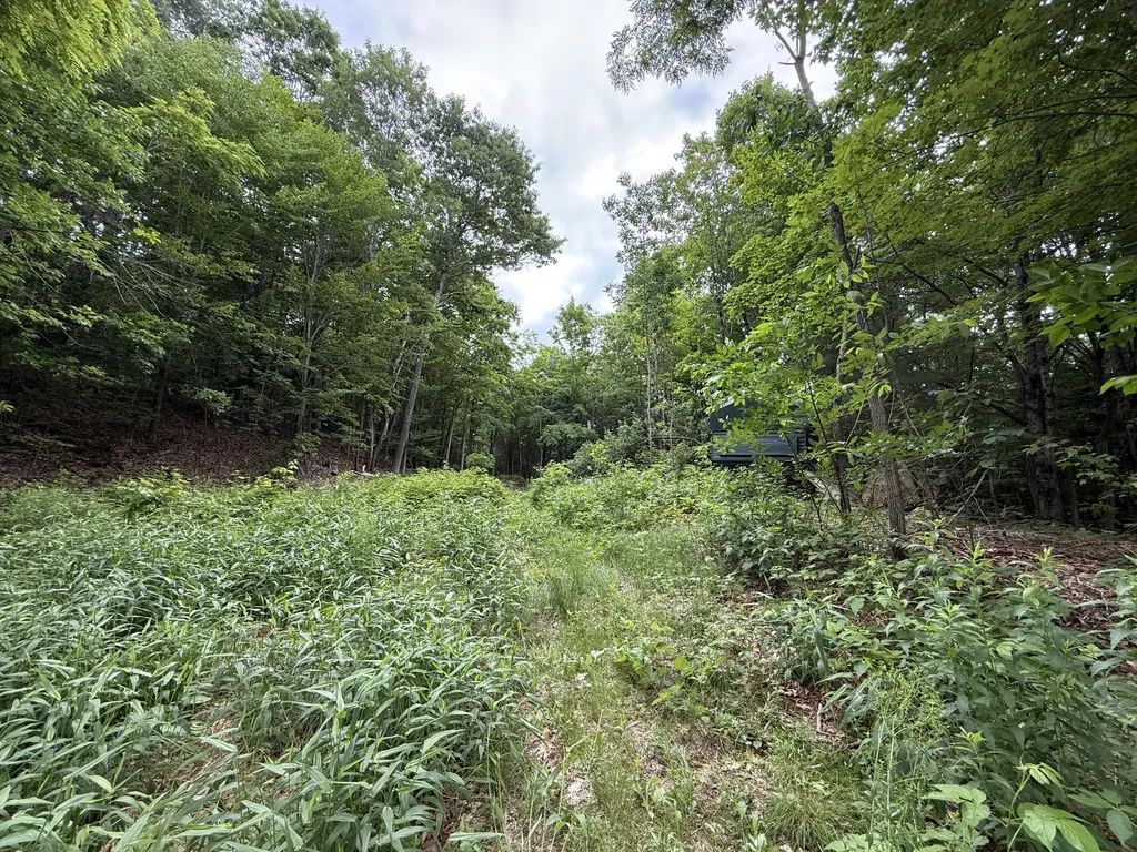5 Moulton Ridge Road Porter ME 04068