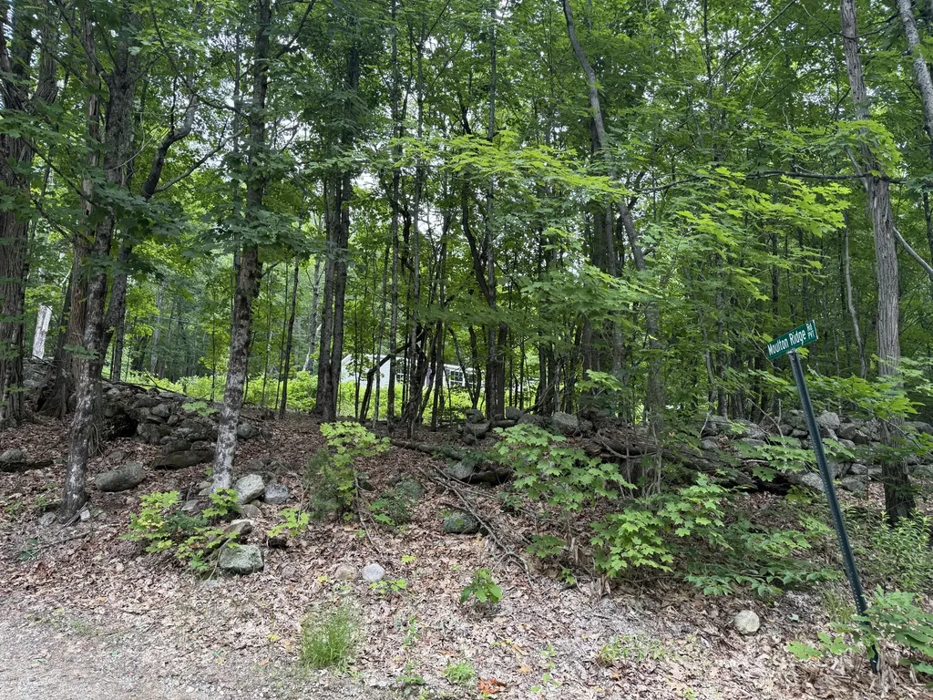 5 Moulton Ridge Road Porter ME 04068