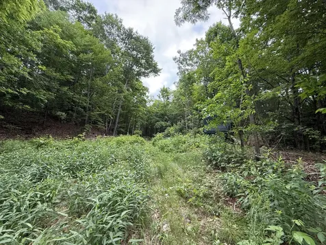 5 Moulton Ridge Road Porter ME 04068