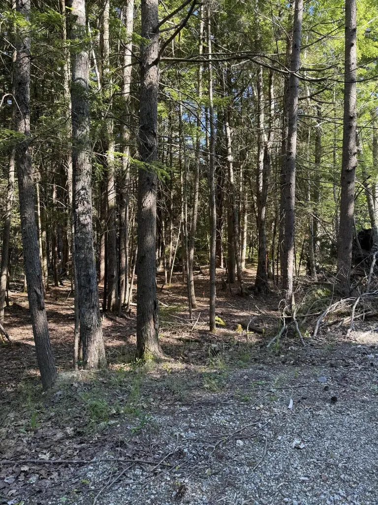 Lot # 21 Wilderness Drive Boothbay ME 04537
