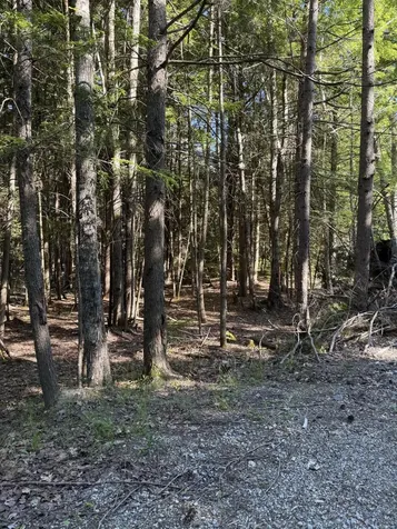 Lot # 21 Wilderness Drive Boothbay ME 04537