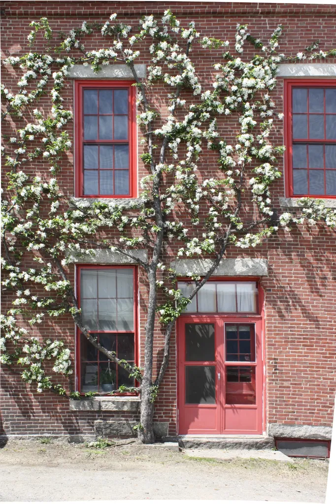 12, 14 &16 Main Street Belfast ME 04915