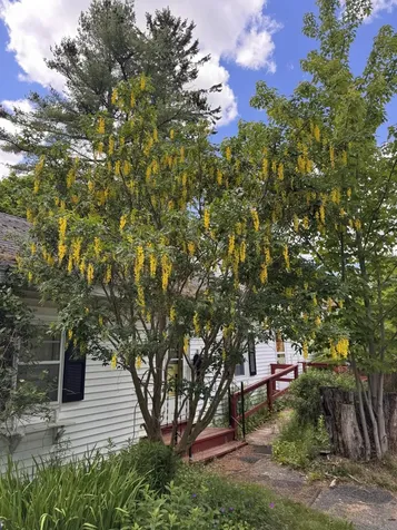 106 Dublin Street Machias ME 04654