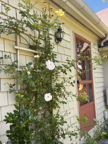 155 Lessner Road Damariscotta ME 04543