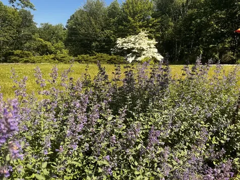 155 Lessner Road Damariscotta ME 04543