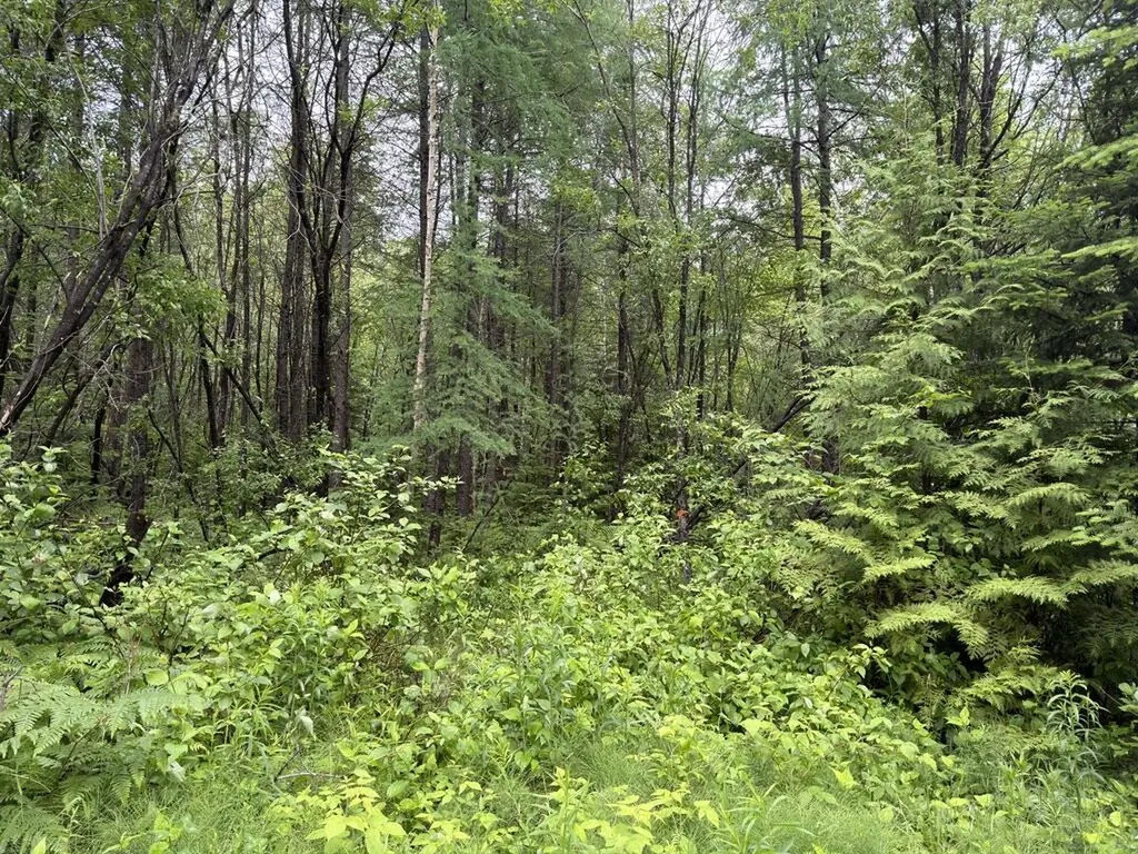 M3 L7-e Fowler Road Woodland ME 04736