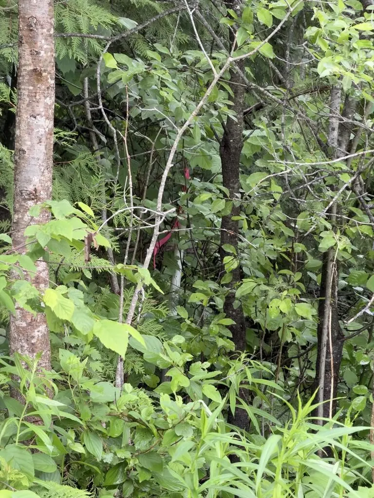 M3 L7-e Fowler Road Woodland ME 04736