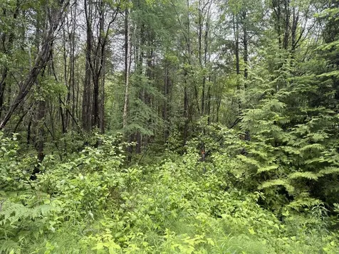 M3 L7-e Fowler Road Woodland ME 04736