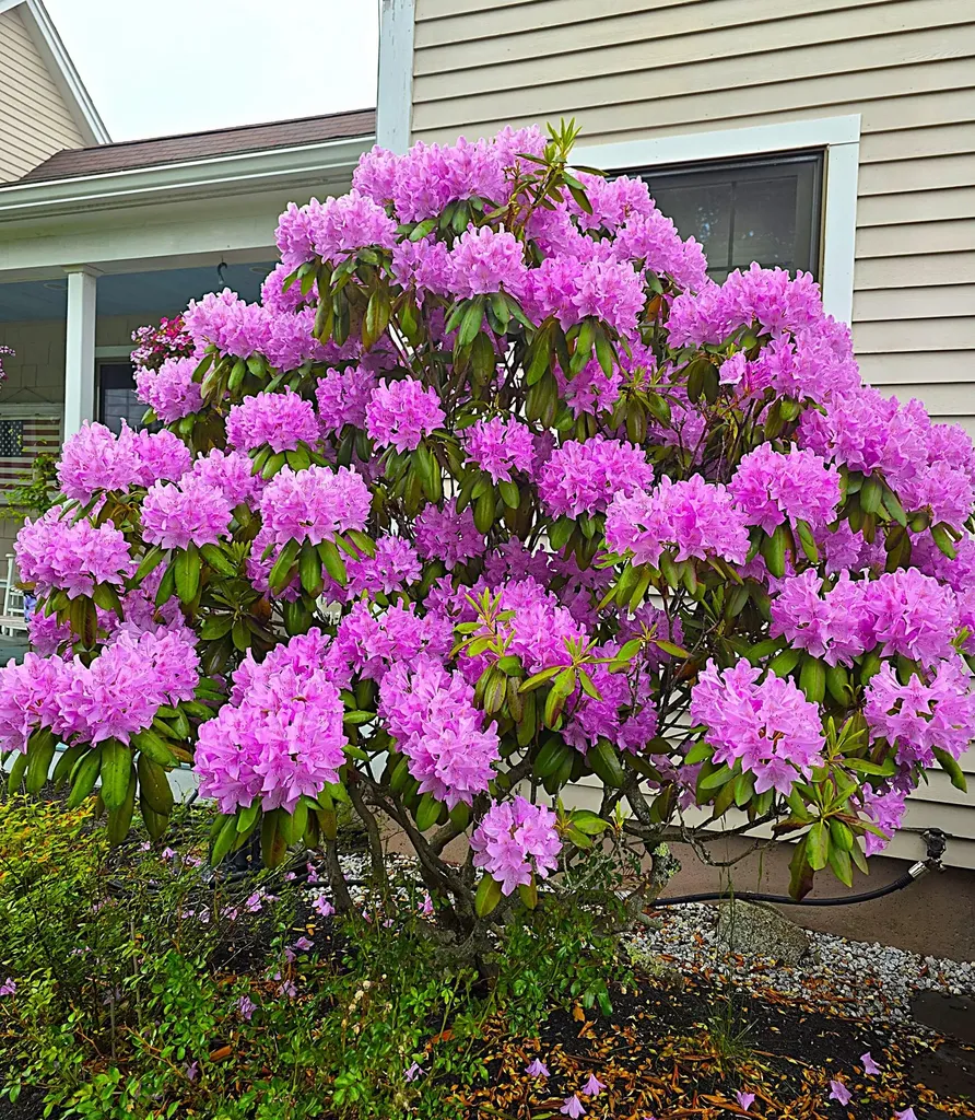 17 Mt Mount Kineo Road Kennebunkport ME 04046