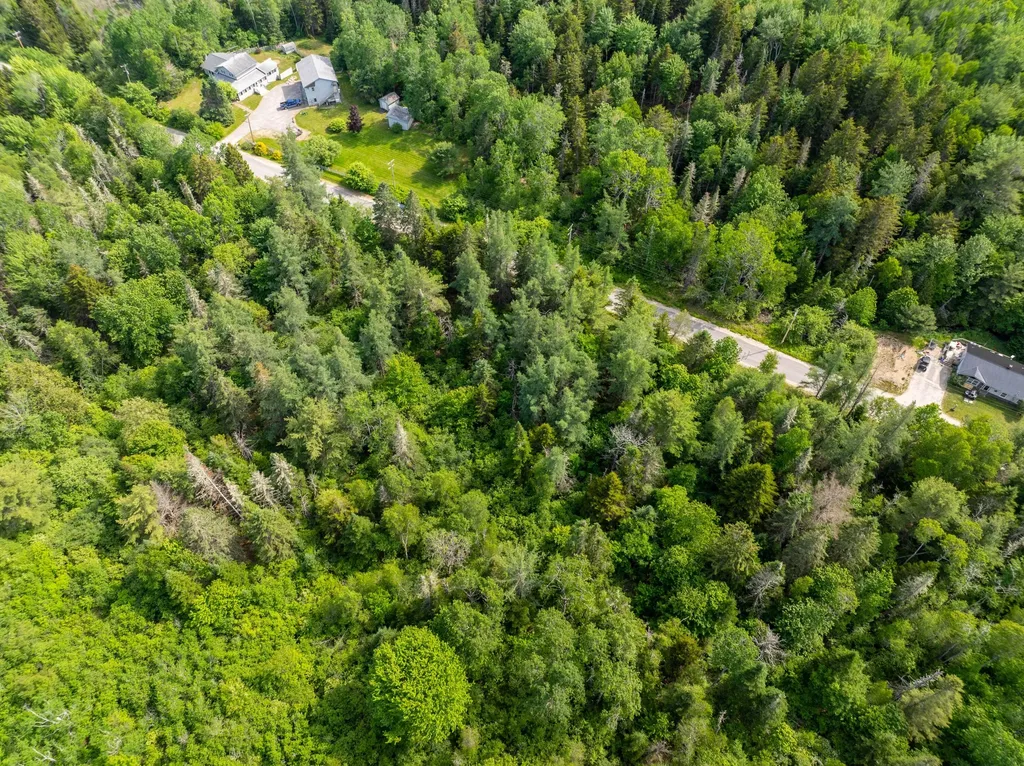 Lot #28 Station Road Jonesboro ME 04648