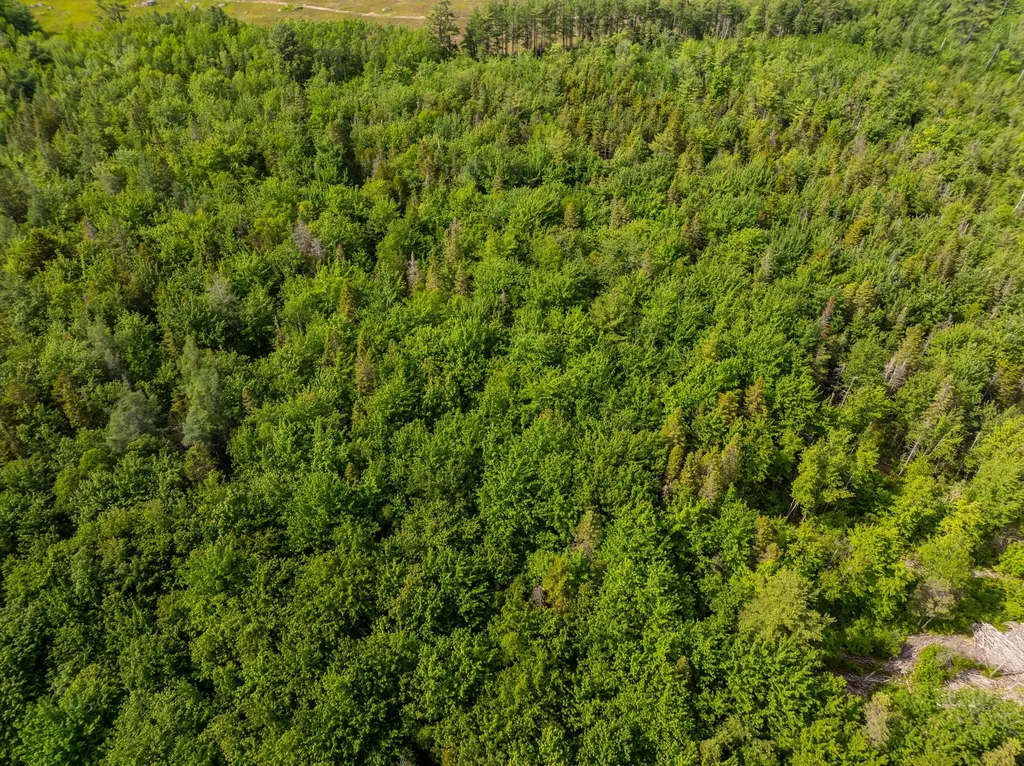 Lot #28 Station Road Jonesboro ME 04648