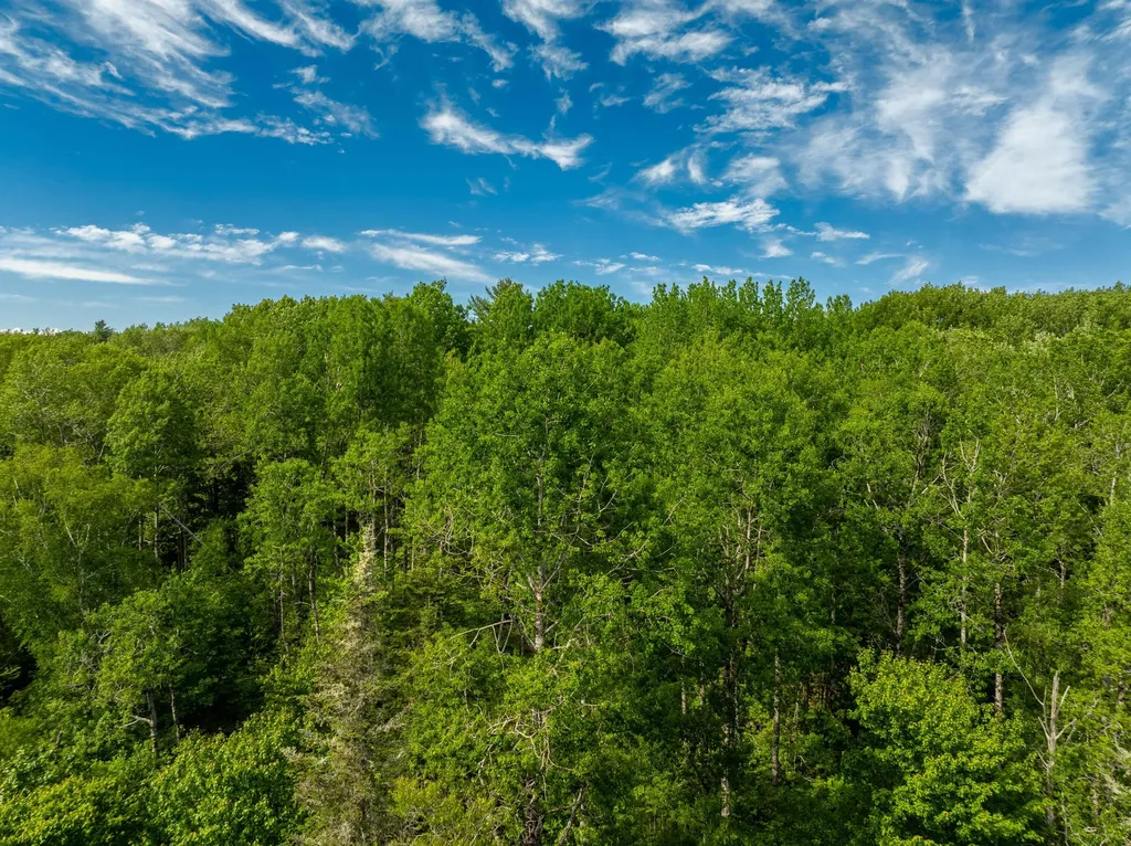 Lot #28 Station Road Jonesboro ME 04648