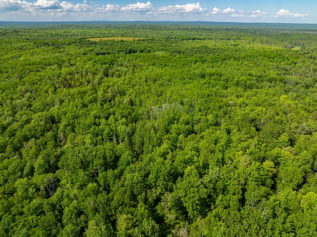Lot #28 Station Road Jonesboro ME 04648