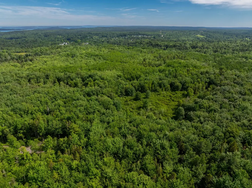 Lot #28 Station Road Jonesboro ME 04648