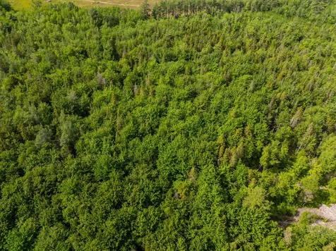Lot #28 Station Road Jonesboro ME 04648