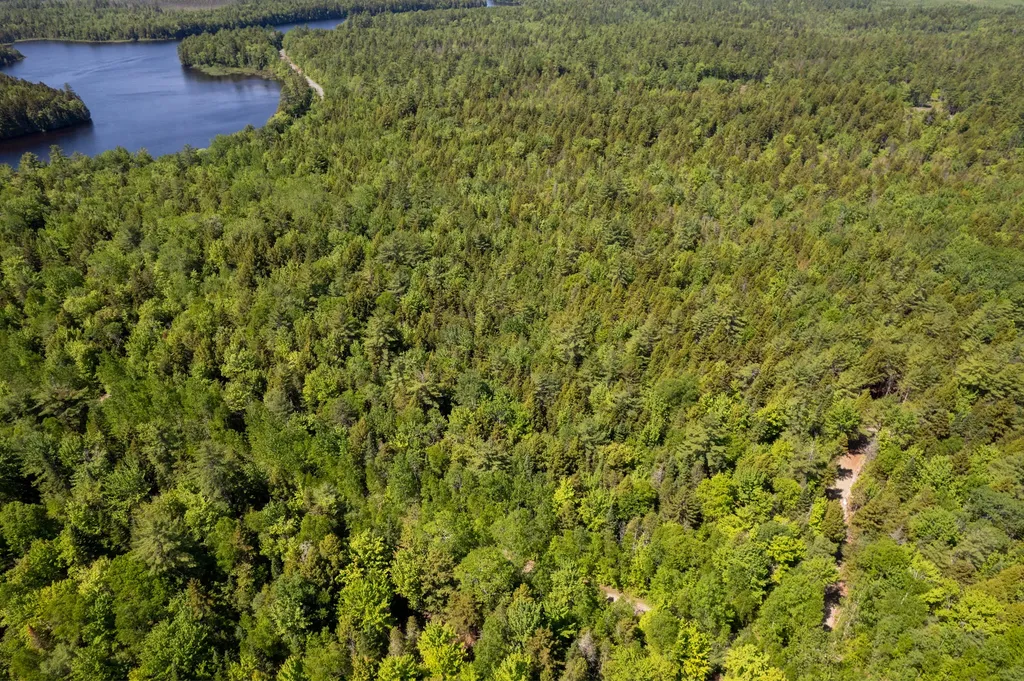 21 Hasbro Road Millinocket ME 04462