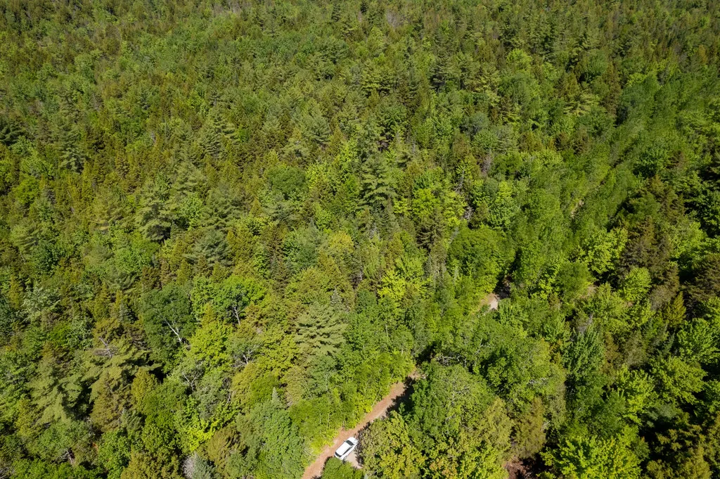 21 Hasbro Road Millinocket ME 04462