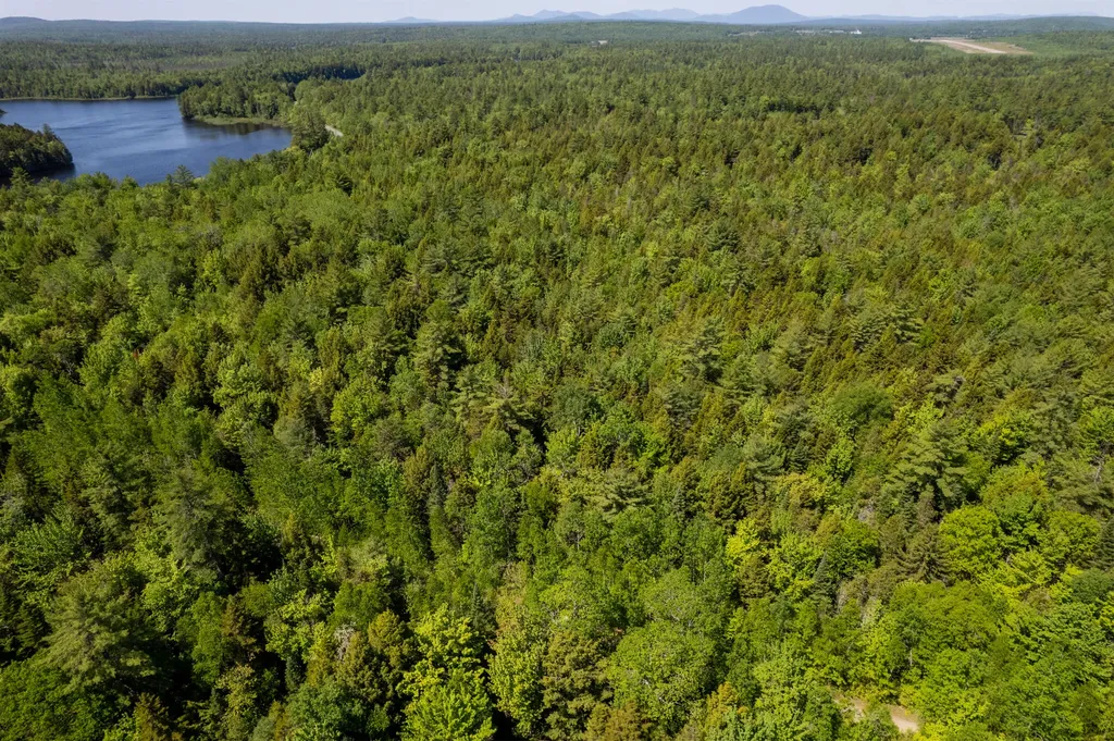 21 Hasbro Road Millinocket ME 04462